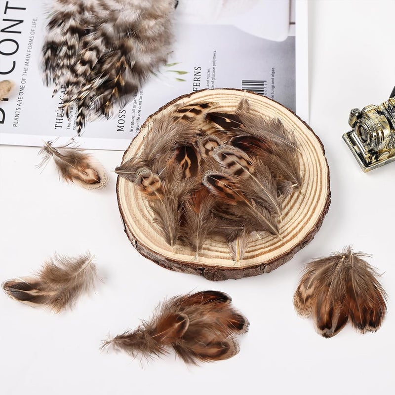 MehelloFeather Store Natural Pheasant Feathers 6 Style Craft Feathers for Dream Catcher Decoration Craft Natural Mixed Feathers (180Pcs) - Image 5